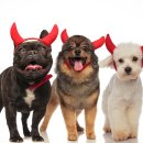 근원농장 이미지