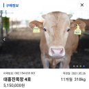진목장 이미지