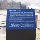 숲놀이터정음