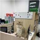 수리정보통신