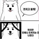 데일리미트 이미지