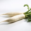 문 휘트니스 이미지