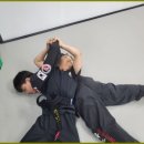 화랑 합기도 특공무술 이미지