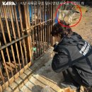 이반 1농장 이미지