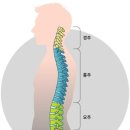 드림바디 휘트니스 이미지