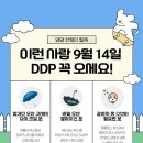 모여라 댕댕 이미지