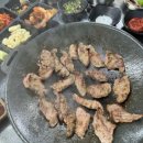 고기벅스 이미지