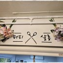 퍼피살롱 이미지