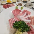 호조참치 이미지
