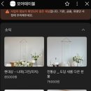 [100일 준비] 가성비 좋은 셀프 백일상, 모어테이블 추천 도담상 대여 후기