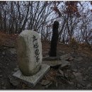 홍갑식 Daum카페