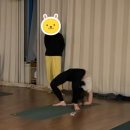 Ep52 연말연초 일상 : 고향방문 - 동해기정, 옥이네분식, 버드나무브루어리 / 속초여행 - 장터순대국...