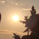 1공단로-11 이미지