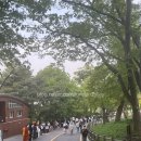 20230424 남산, 얼루어코리아, 얼루어 그린 캠페인 팝업 후기, 최소 38가지의 선물!!
