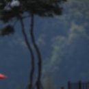 꽃밭에서 이미지