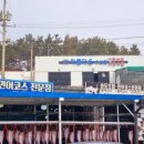 신안 지도 가볼만한곳 송도초밥 민어코스전문점~^^