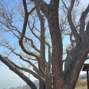 풍도_어촌체험마을 이미지