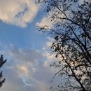 반월공원 이미지