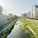 로카하우스 이미지