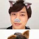 준라이브 이미지