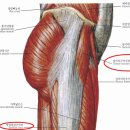 짐에브리원 이미지