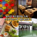 인홀 | 다낭 인호이안 스파 내돈내산. 후기 (할인, 위치, 픽드랍, 가족여행)
