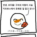 폴란드볼) 원소의 어원 이미지