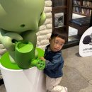 치즈바다 이미지