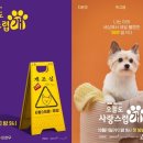 사랑스럽개 이미지