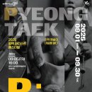 P.Art (피.아트)
