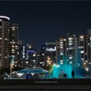 뚝섬한강공원-68 이미지