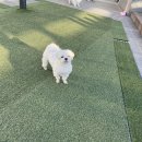 구암동586 이미지