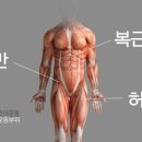 더바른몸PT 이미지