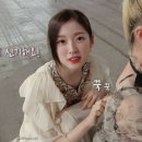 막뚱이네 이미지