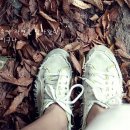 더하우스 이미지