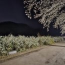 송해보건지소 네이버블로그