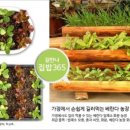 참다운농장 이미지