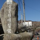 2024-03/14(목)광양 홍싸리매실마을 축제-전남 구례산수유 축제 꽃길걷기힐링여행 이미지