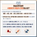 도창반점 티스토리