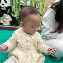 (주)이마트천안점 | [천안 이마트 문센] 8개월 톡톡아이팡 3주차, 콩 촉감놀이(feat. 인생 2회차 팬더)