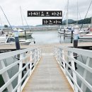 ​[여수요트투어] 비 온 뒤 역대급 뷰 감동했던 '여수아그리나요트투어' 솔직후기 (친절 끝판왕 선장님!)
