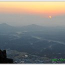 별빛밭