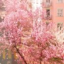 소나무한약국 이미지