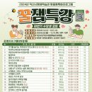 힐링타로 이미지
