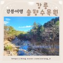 [소랑이부부♡국내여행] 강릉여행 무료입장 강릉솔향수목원 강릉볼거리 추천!~