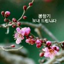 금요일 이미지
