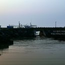 제주유유자적 이미지