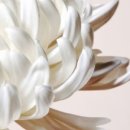 청원마을회관 이미지