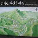 상록수 민박 이미지