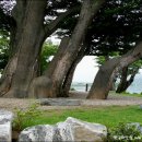 아침풍경 이미지